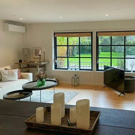 Stylish House Between And Forest In